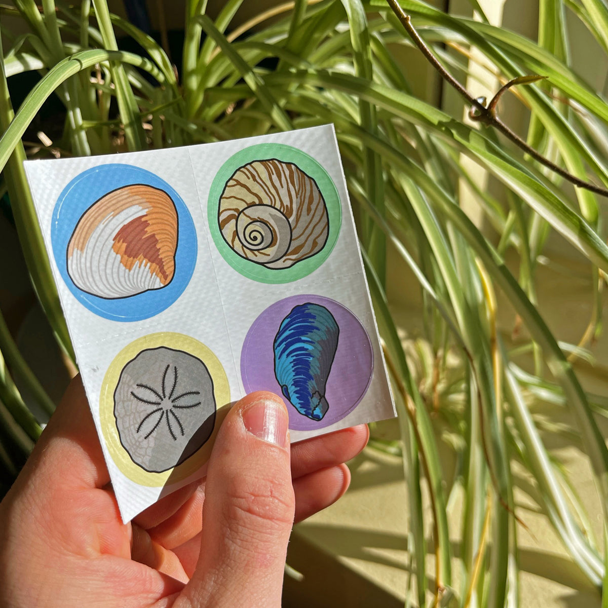 Sticker Packs – Java Boost