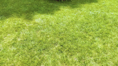 Field Notes Cover + Wallet